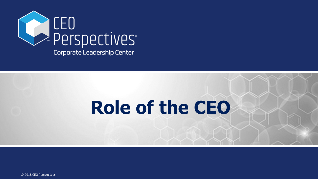 Role of the CEO